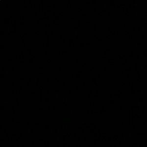 Meet your Posher, Evi